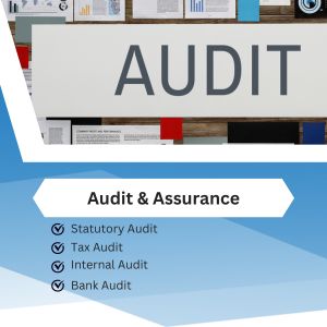 Audit & Assurance(8)